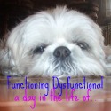Functioning Dysfunctional Blog